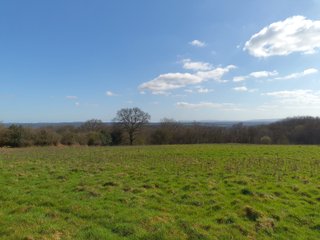 Clear blue skies, looking across a field to some trees and down lands in the distance