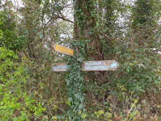 Signpost at the meeting of the Vanguard Way and Wealdway