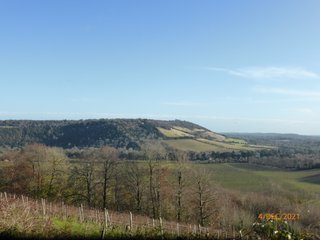 Close up of steep slopes on Boxhill from the Denbies Wine Estate