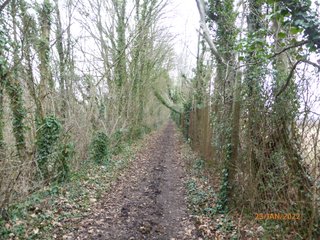 tree lined path above the A2