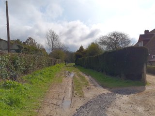 A hedge lined muddy path at the start of the day's walk